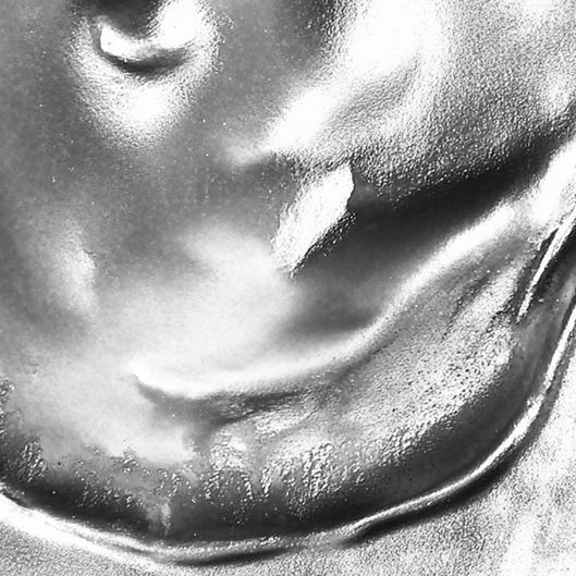 Silver Wellness Membership